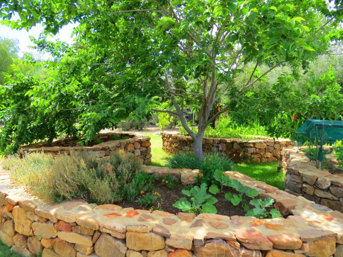 Olive Grove Pip Prince Albert Exterior foto